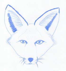 blue fox