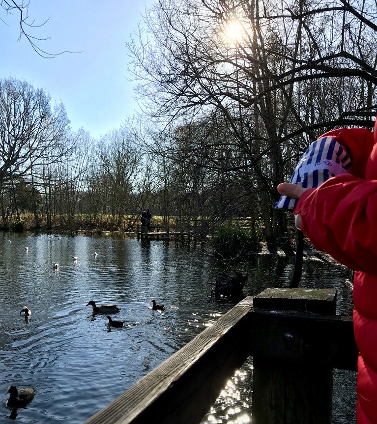 Duck feeding wandsworth park